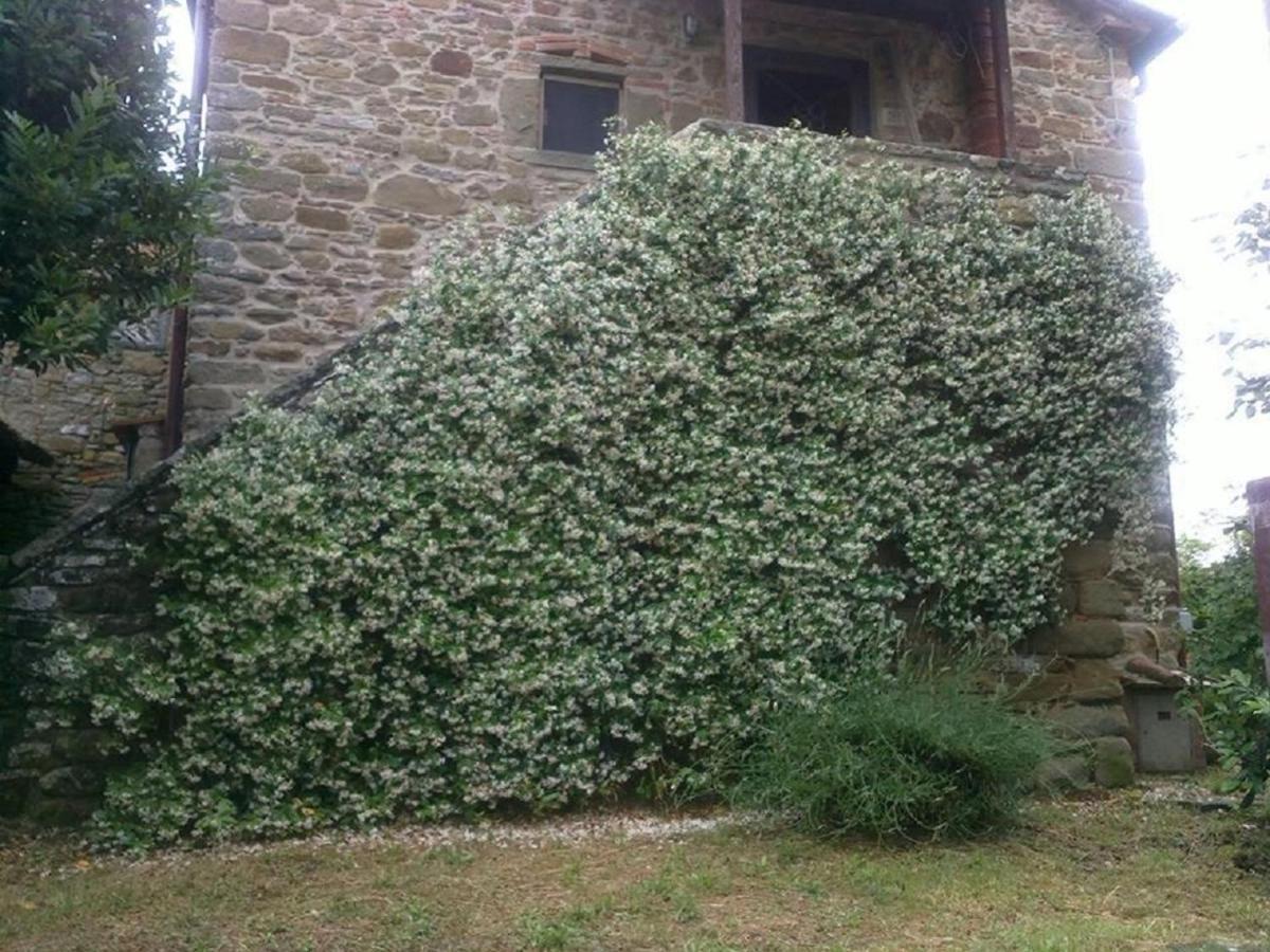 La Cuccia - La Villa-San Pacrazio Ambra Exterior foto